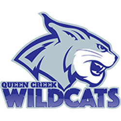 QCMS Logo