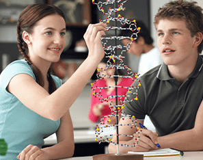 two students working with a dna model