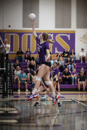 Girls volleyball player