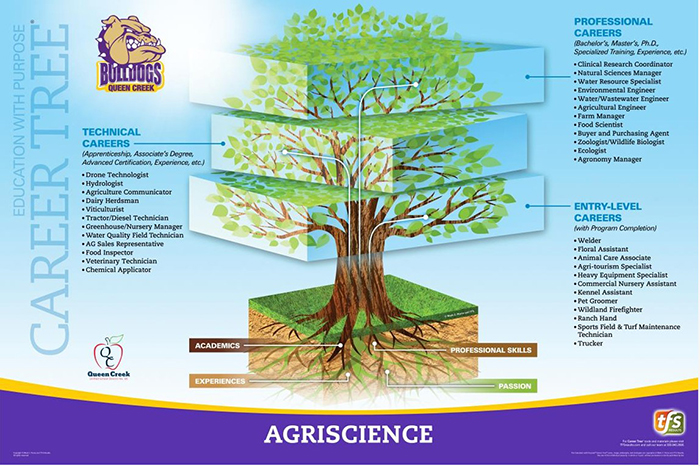 Education with a purpose - Career Tree for Agriscience