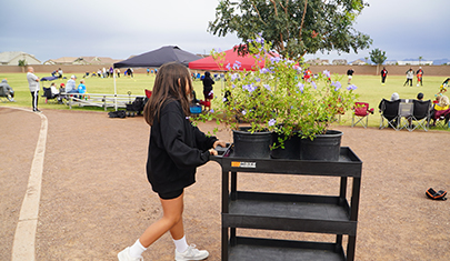 Girl pushing a cart with live plants during service day